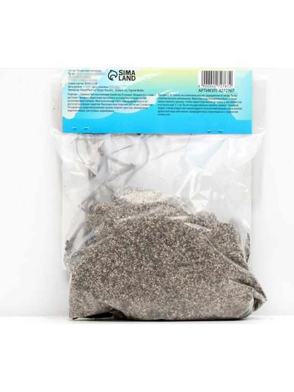 Георгина декоративная 