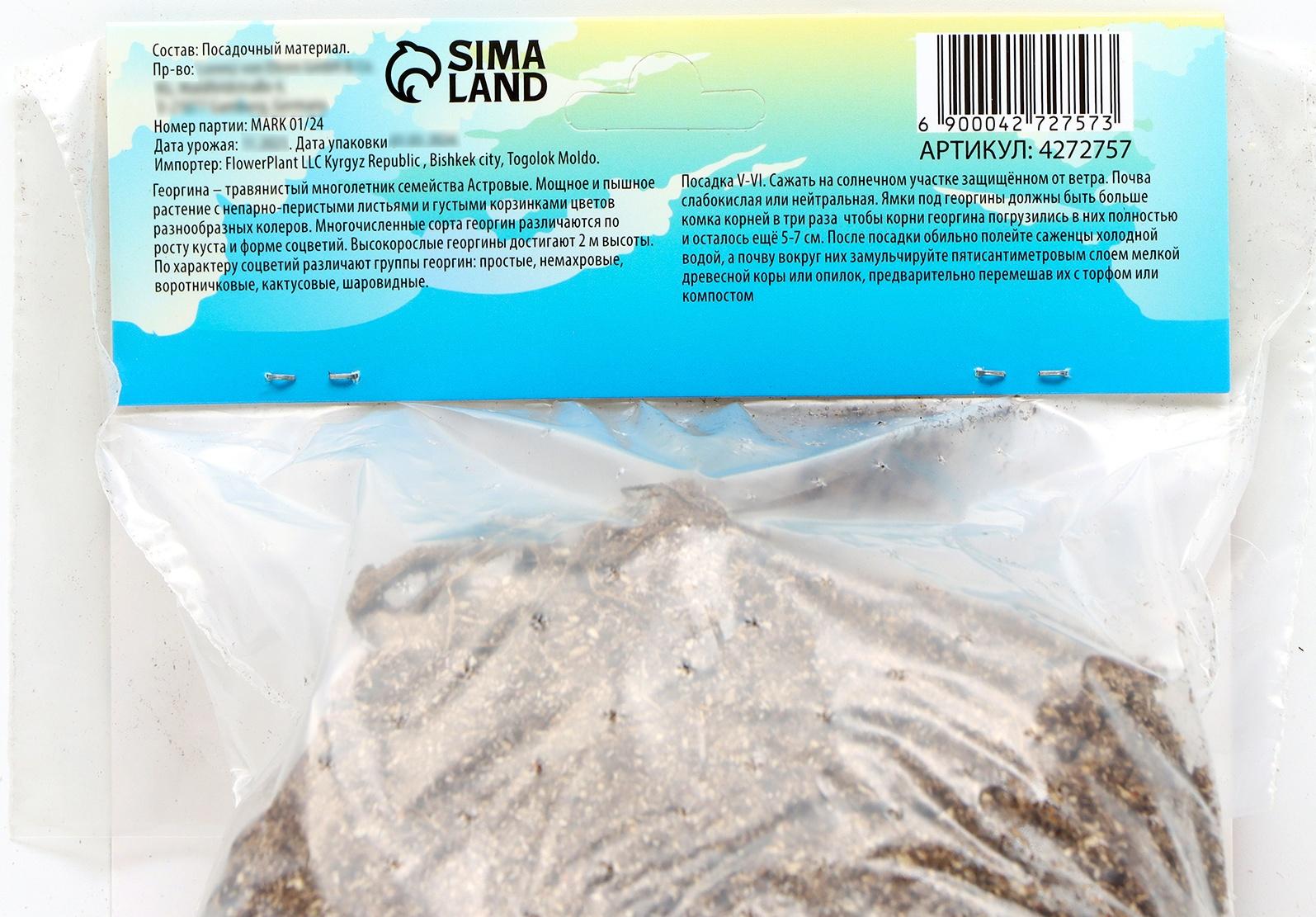 Георгина декоративная 