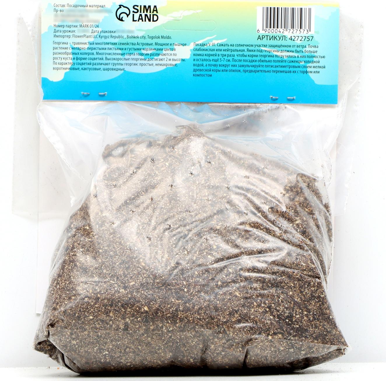 Георгина декоративная 