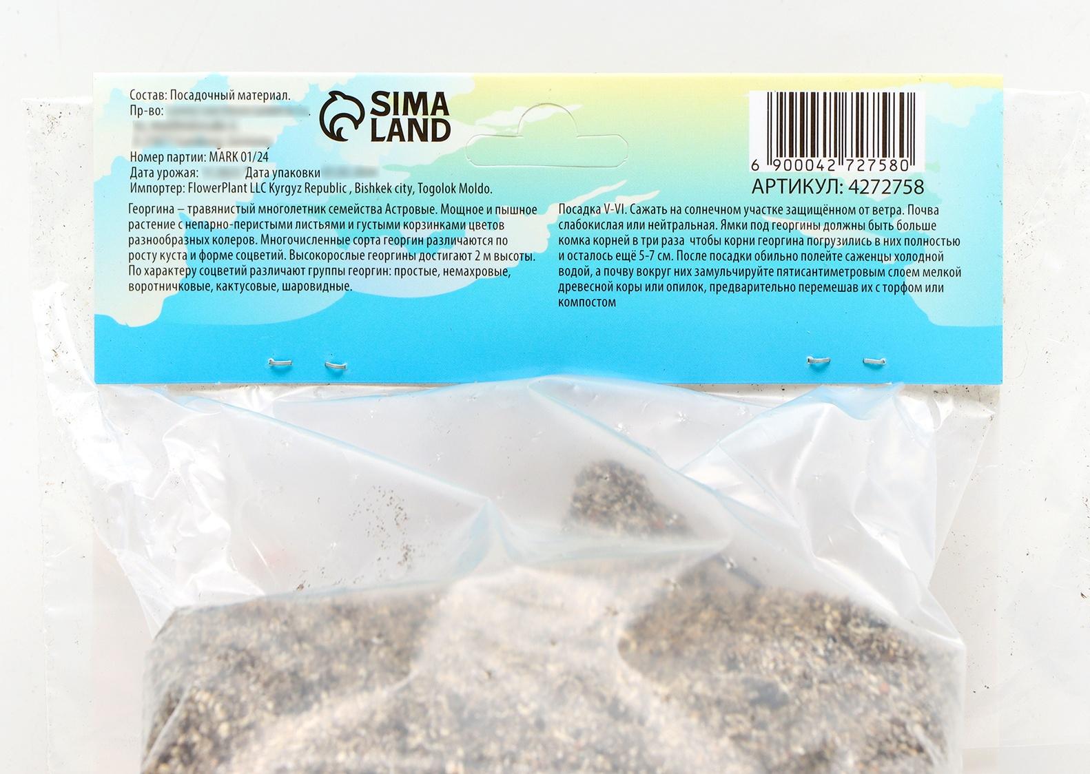 Георгина декоративная 