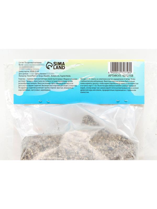 Георгина декоративная 