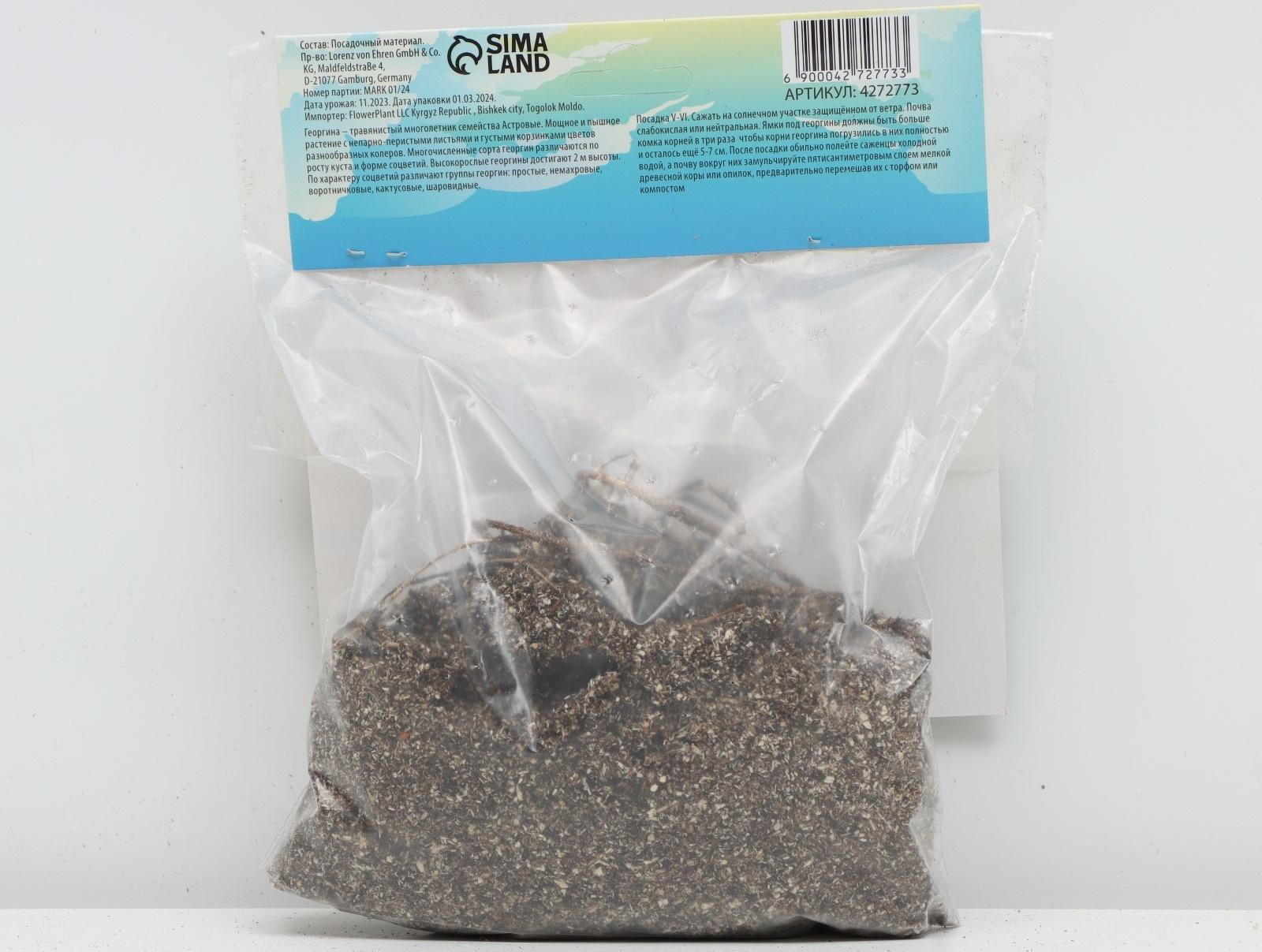 Георгина декоративная 