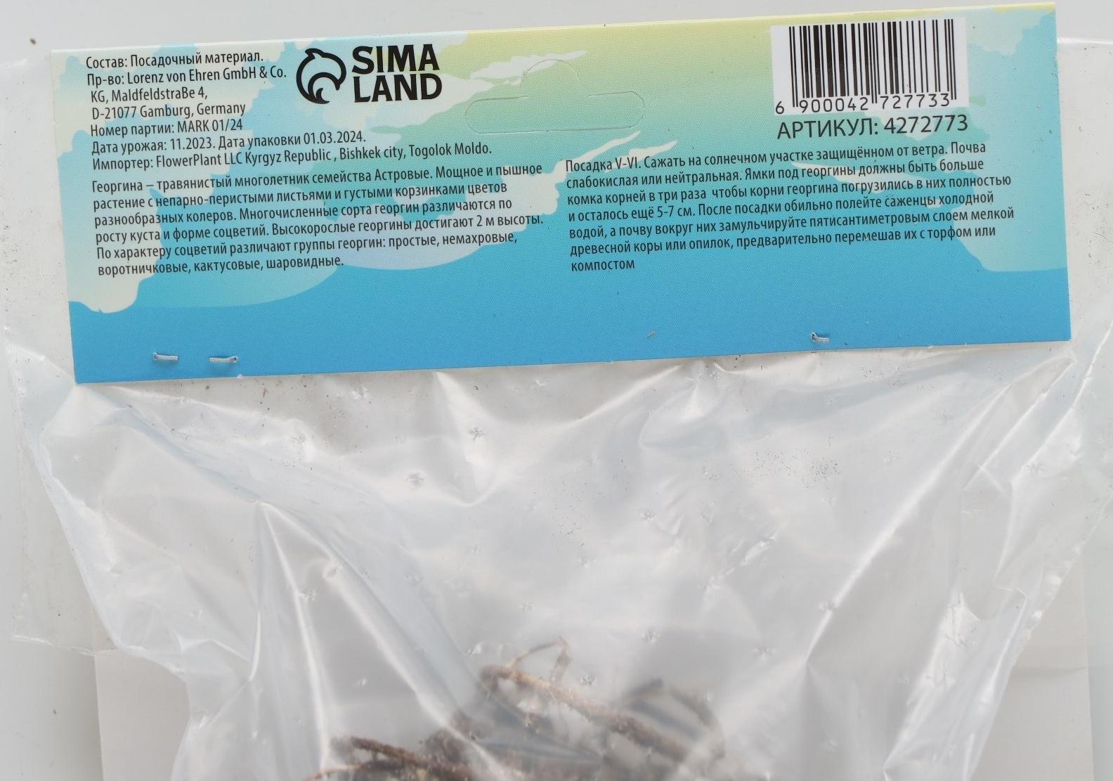 Георгина декоративная 