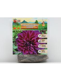 Георгина декоративная 