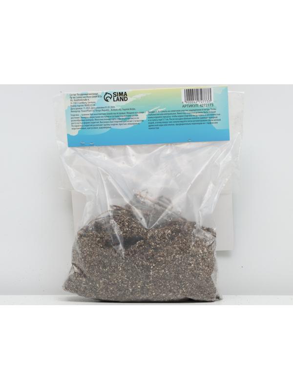 Георгина декоративная 