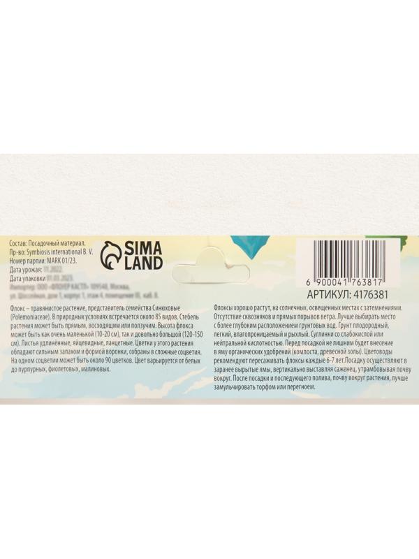 Георгина декоративная 