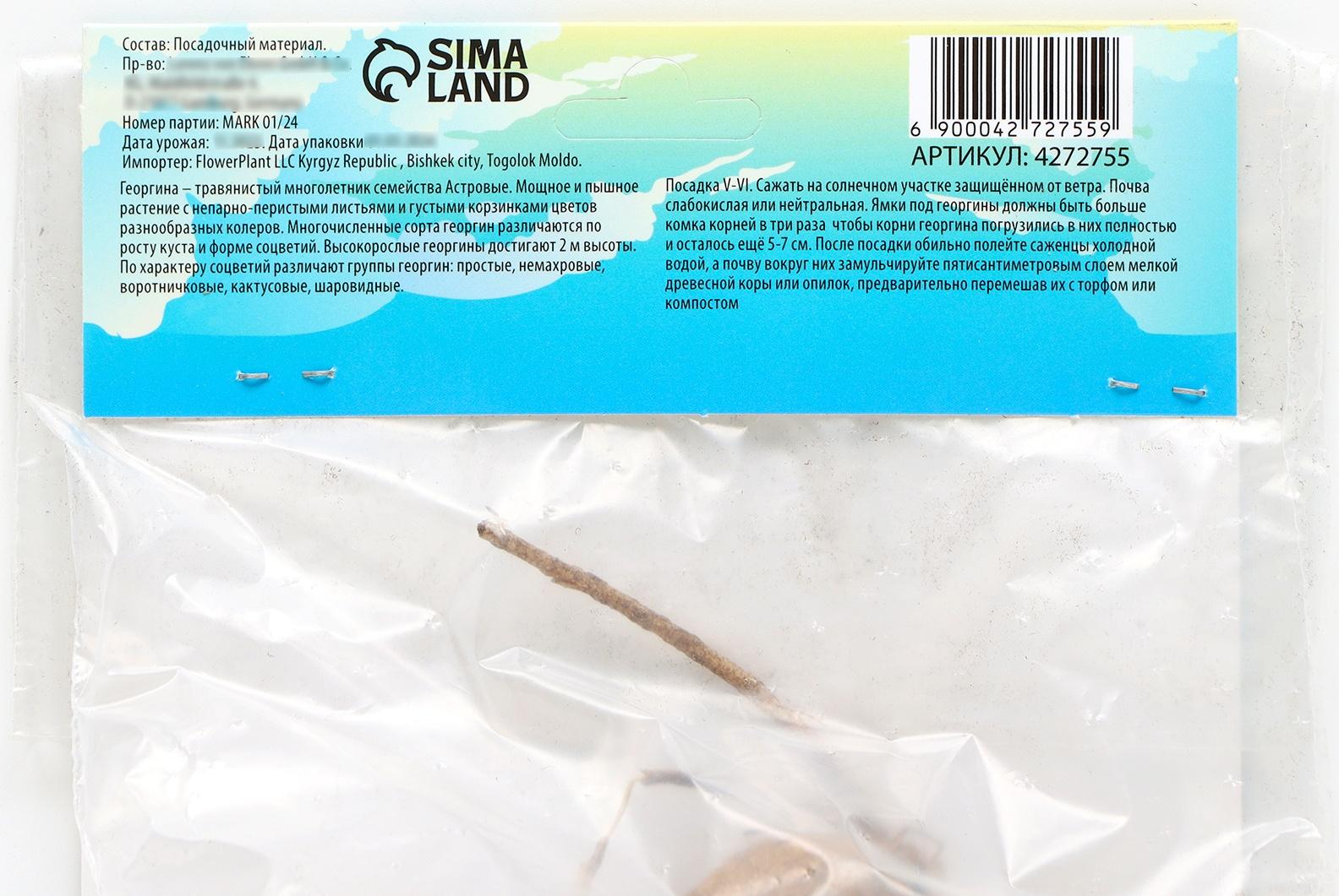 Георгина декоративная 