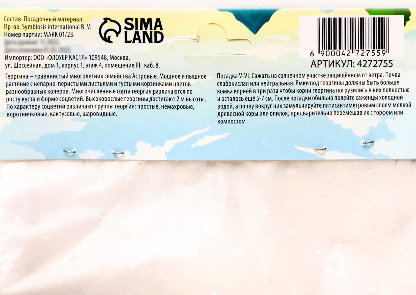 Георгина декоративная 