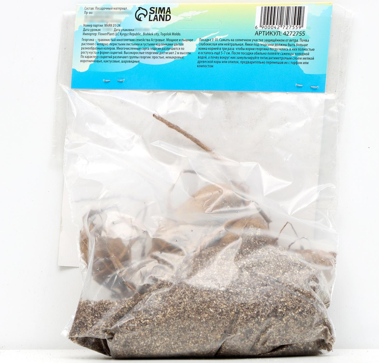 Георгина декоративная 