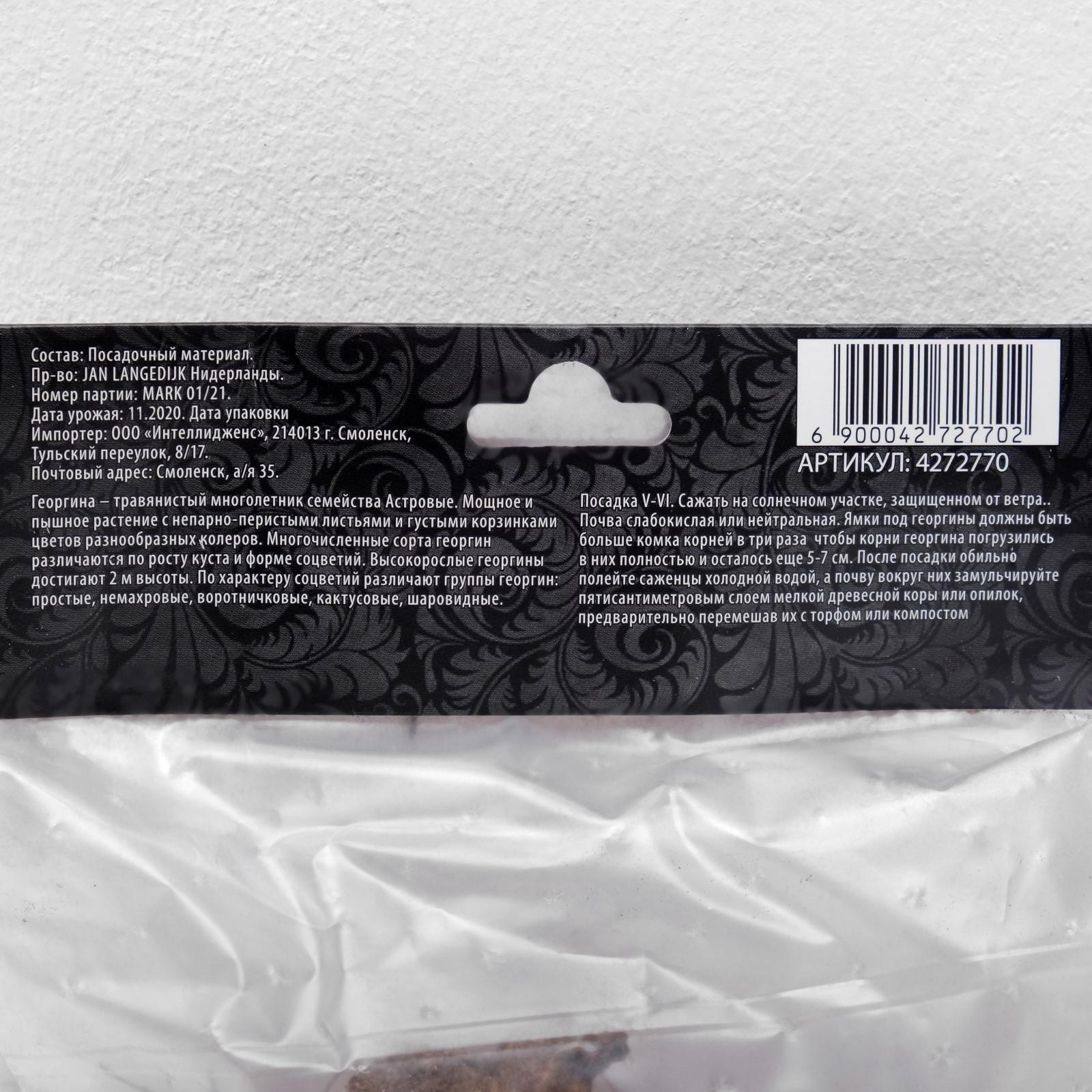 Георгина декоративная 