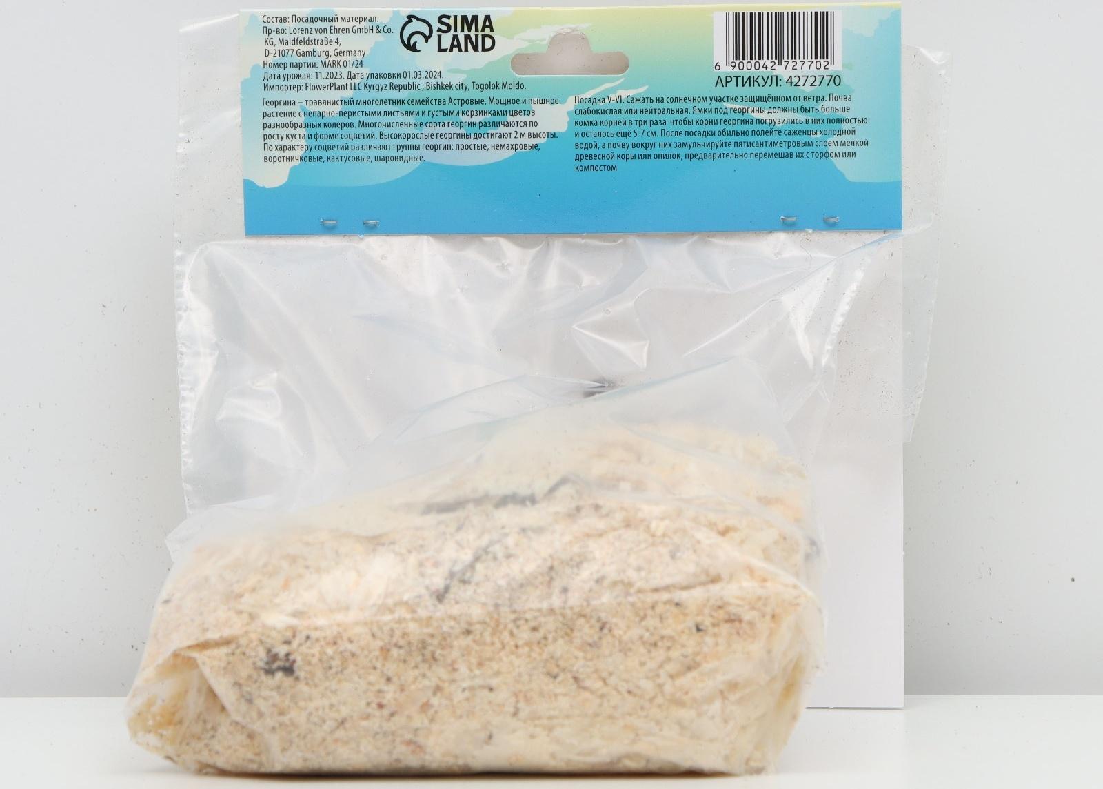 Георгина декоративная 