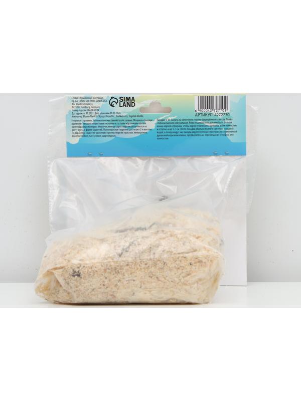 Георгина декоративная 