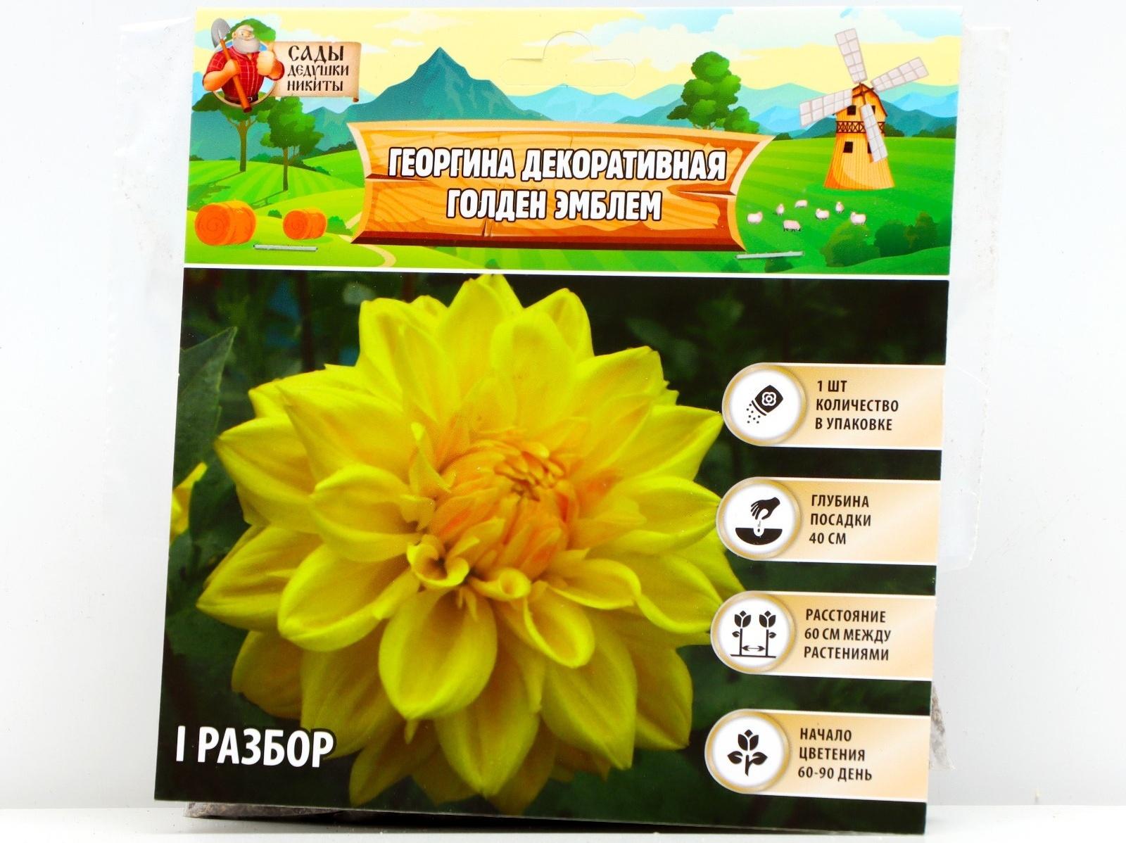 Георгина декоративная 