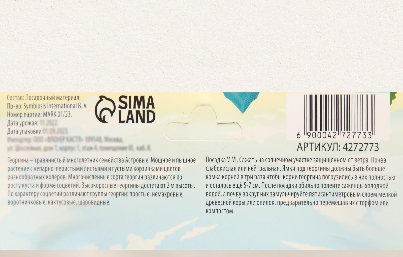 Георгина декоративная 