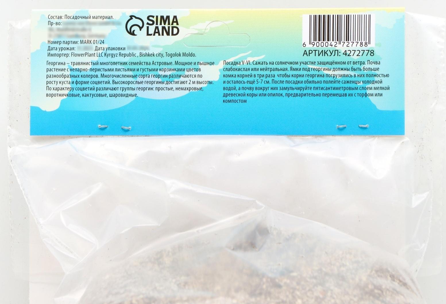 Георгина декоративная 