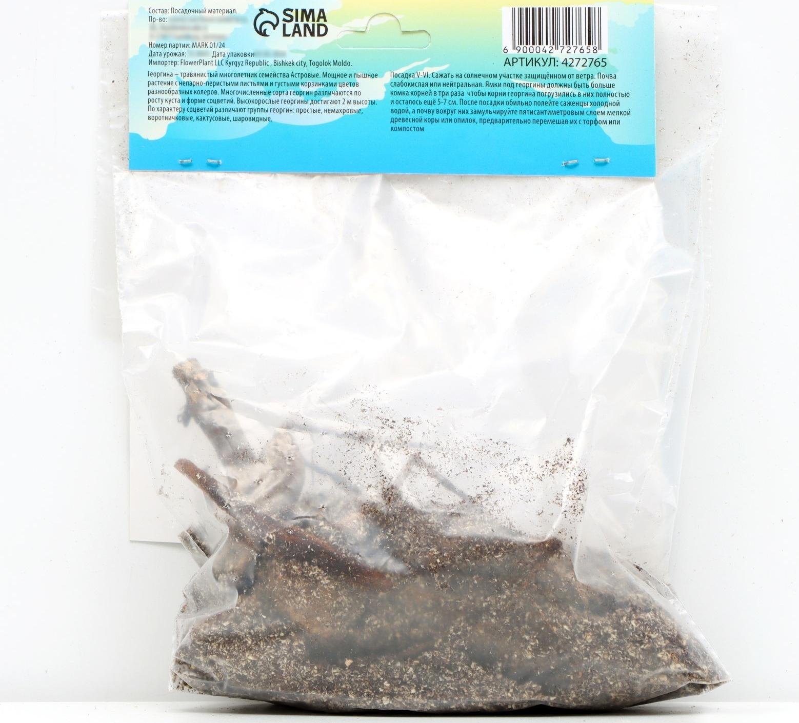 Георгина декоративная 