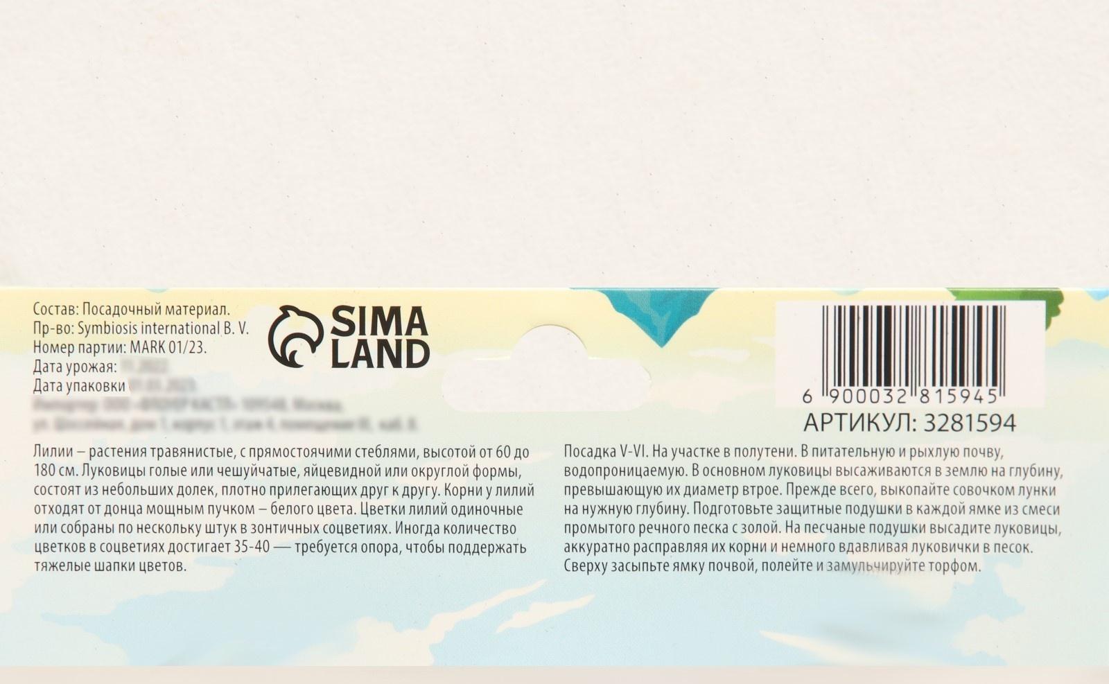 Георгина декоративная 