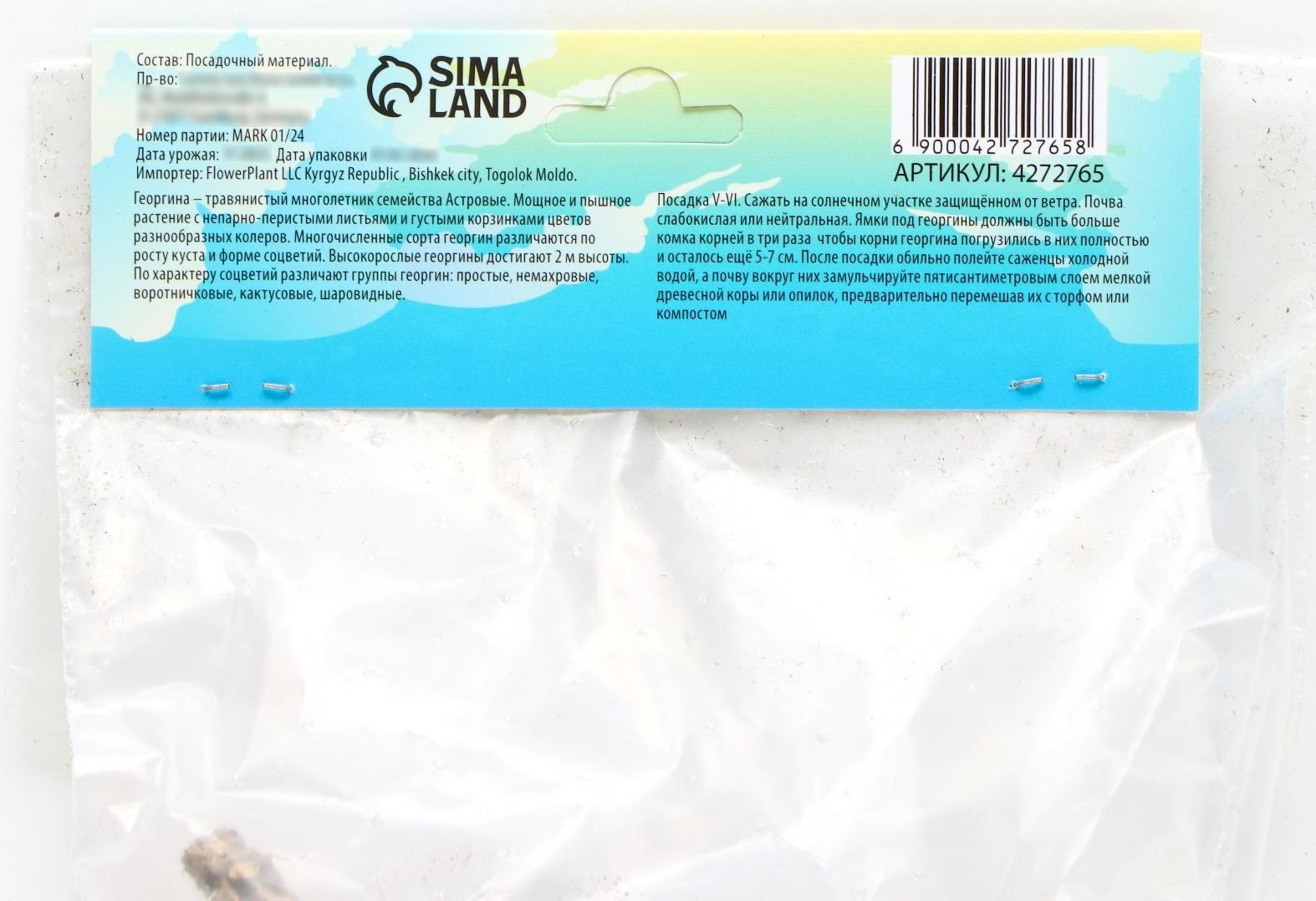 Георгина декоративная 