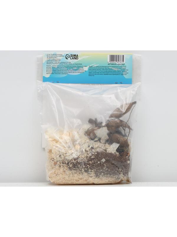 Георгина Помпонная 