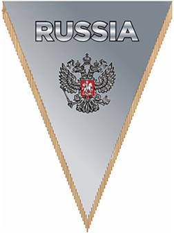 Вымпел треугольный RUSSIA фон серый, 260х200 мм, цветной, Skyway
