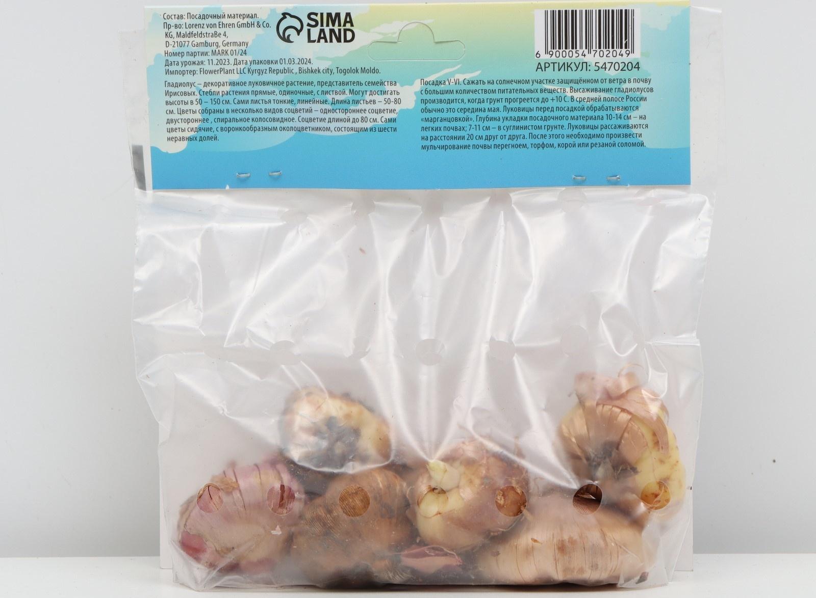 Гладиолус Низкорослый (мини) смесь сортов р-р 10/+ , 7 шт, Весна 2024