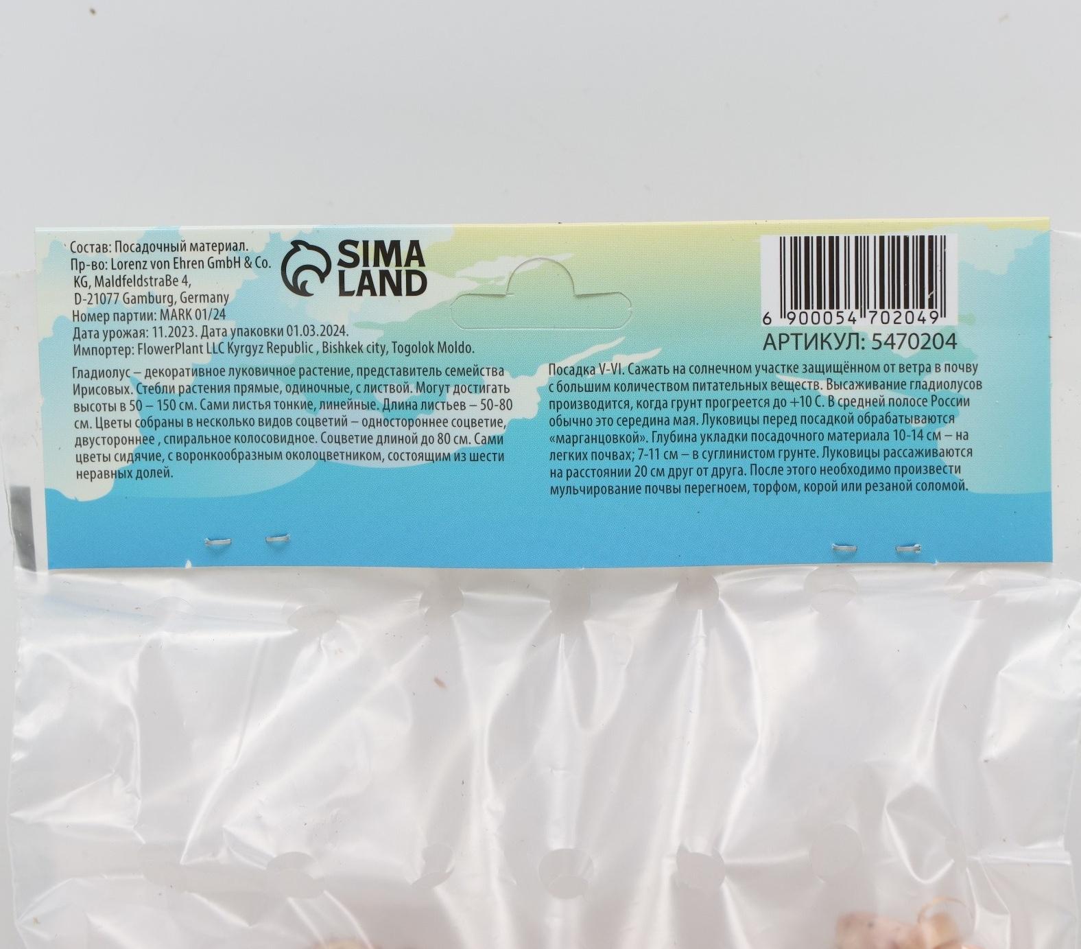 Гладиолус Низкорослый (мини) смесь сортов р-р 10/+ , 7 шт, Весна 2024