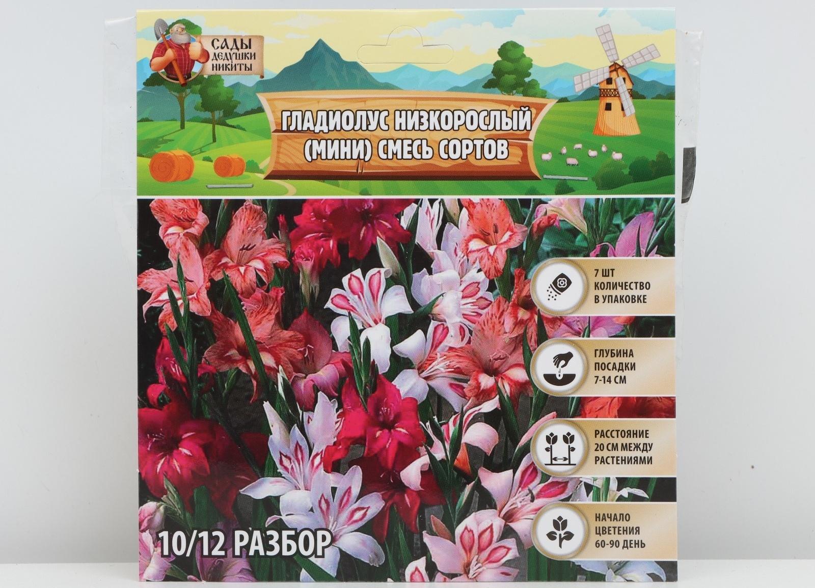 Гладиолус Низкорослый (мини) смесь сортов р-р 10/+ , 7 шт, Весна 2024