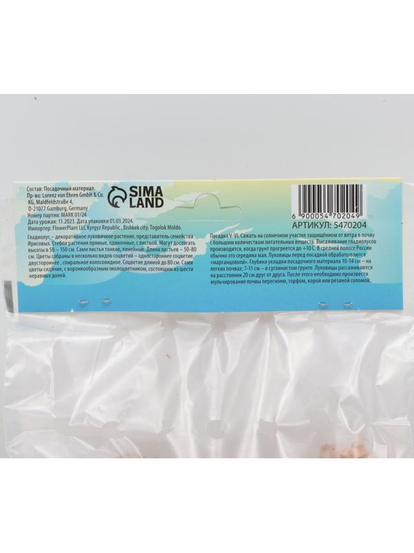 Гладиолус Низкорослый (мини) смесь сортов р-р 10/+ , 7 шт, Весна 2024