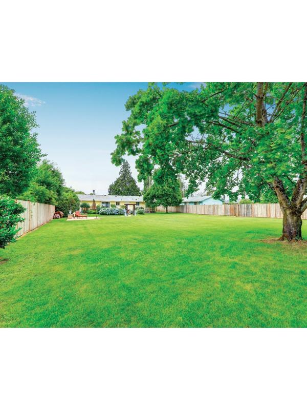 Фотобаннер, 250 × 200 см, с фотопечатью, люверсы шаг 1 м, «Зелёная поляна»