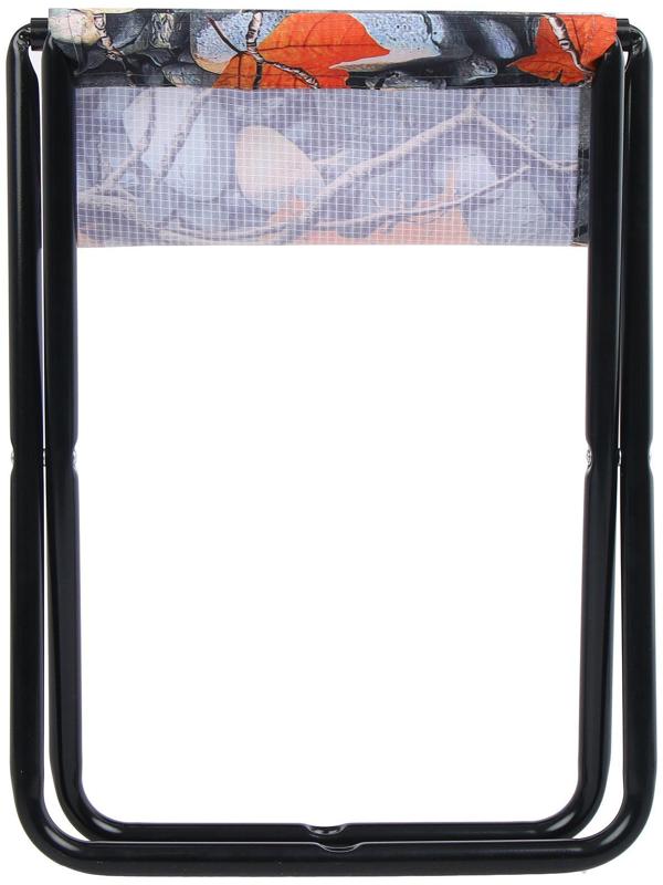 Стул складной походный 350x300x370мм ПС/4 с камнями и кленовыми листьями