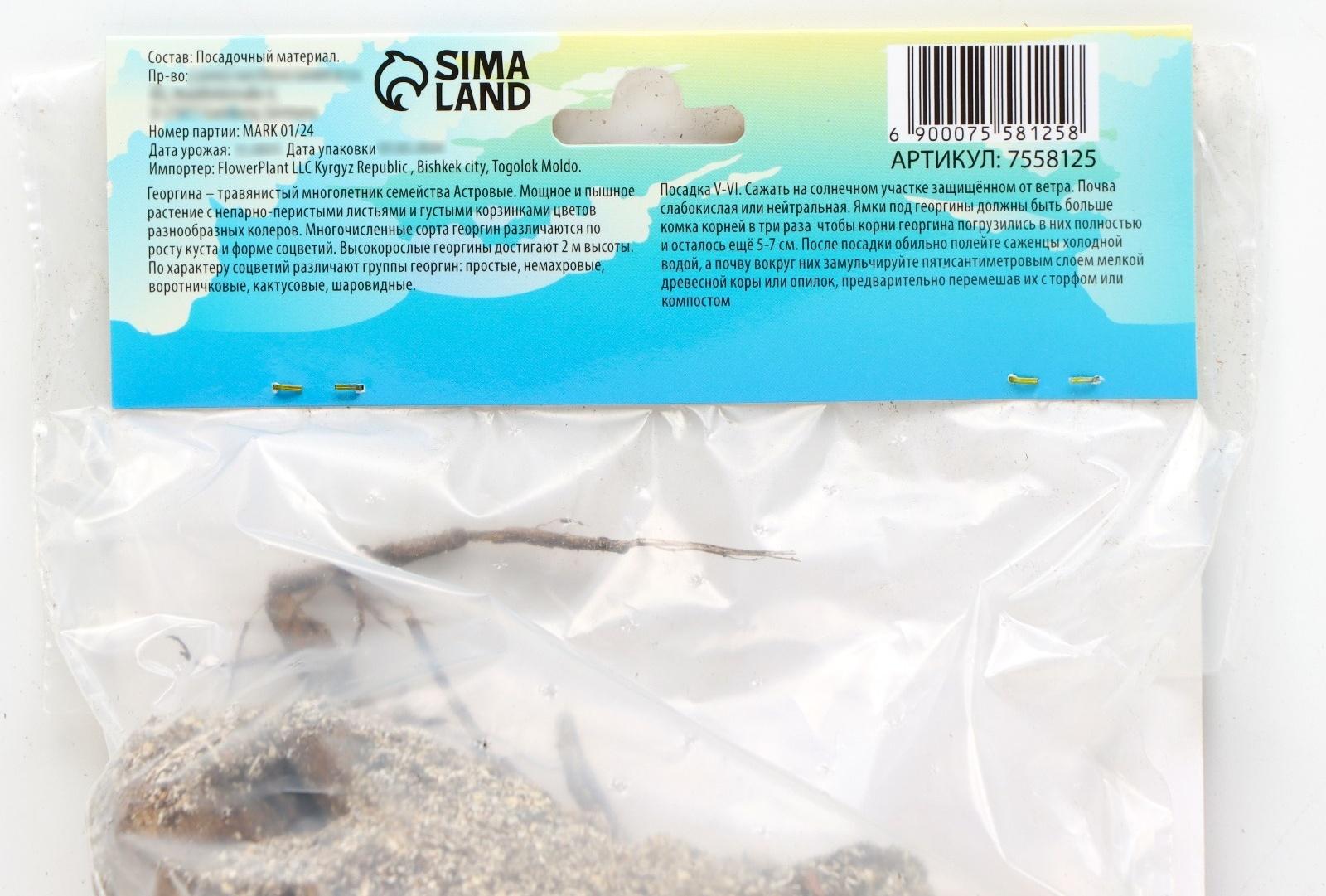 Георгина декоративная 