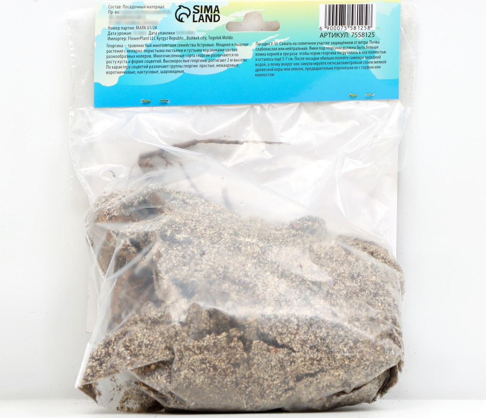 Георгина декоративная 