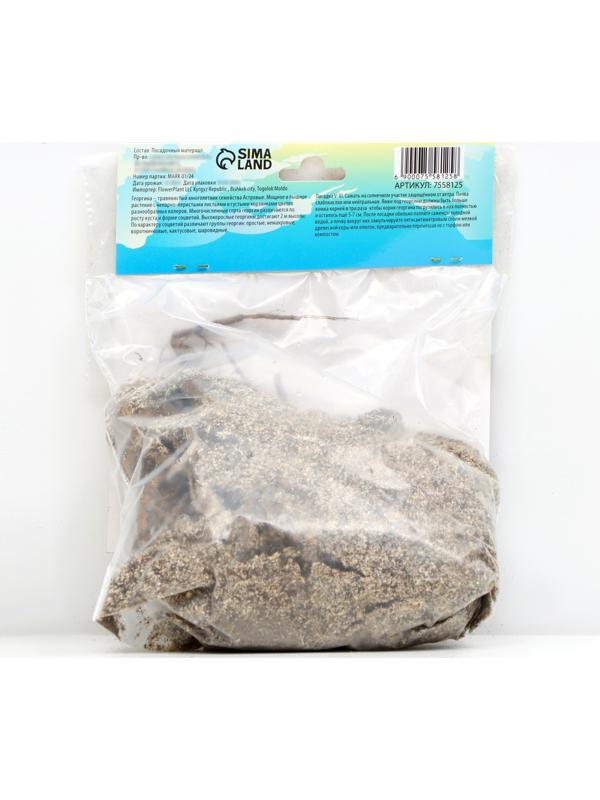 Георгина декоративная 