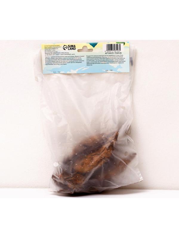 Георгина декоративная 