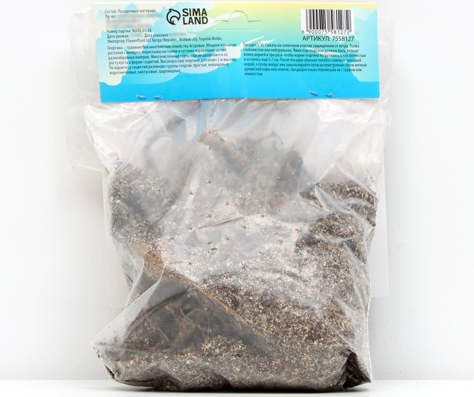 Георгина полукактусовая 