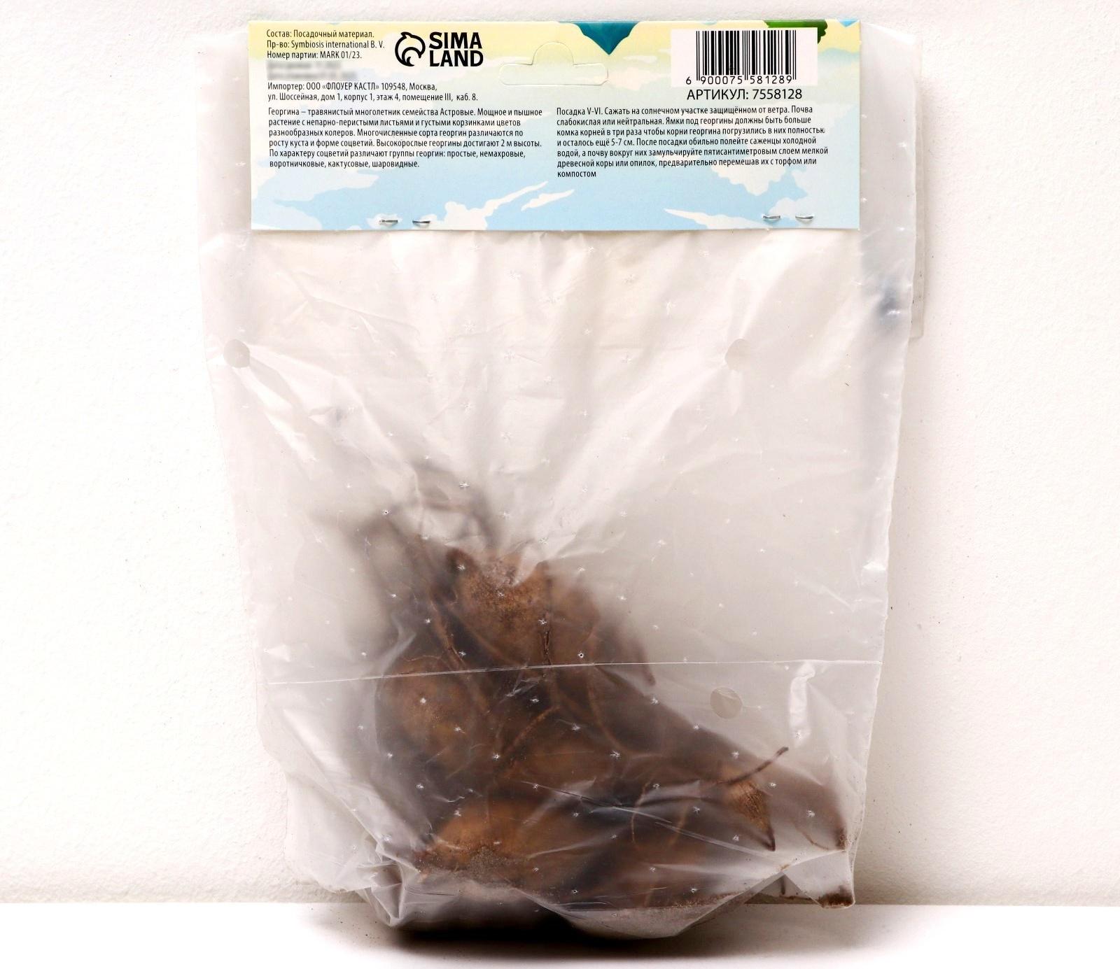 Георгина декоративная 