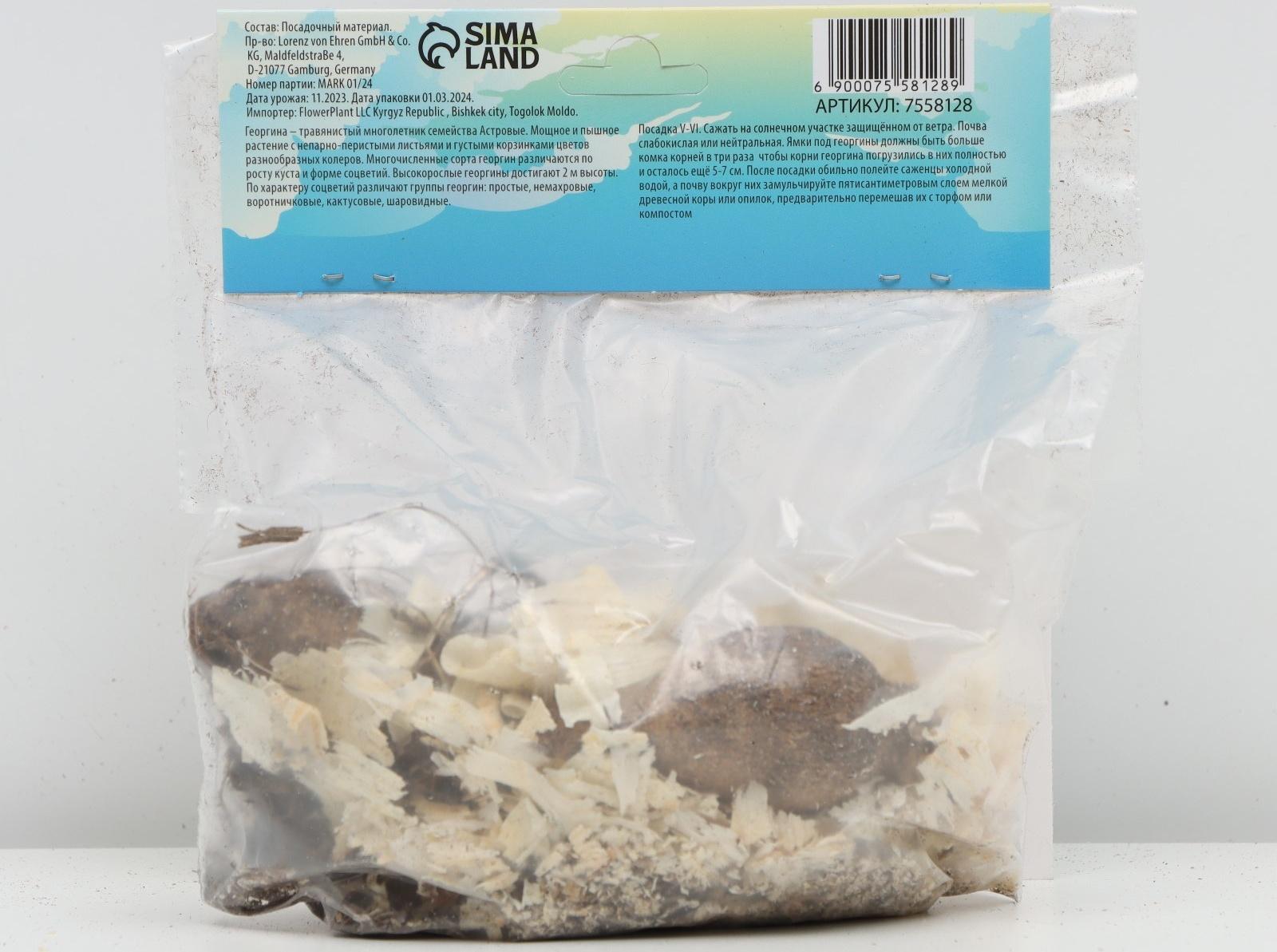 Георгина декоративная 