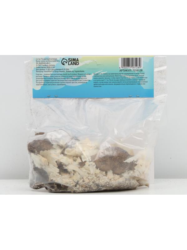 Георгина декоративная 