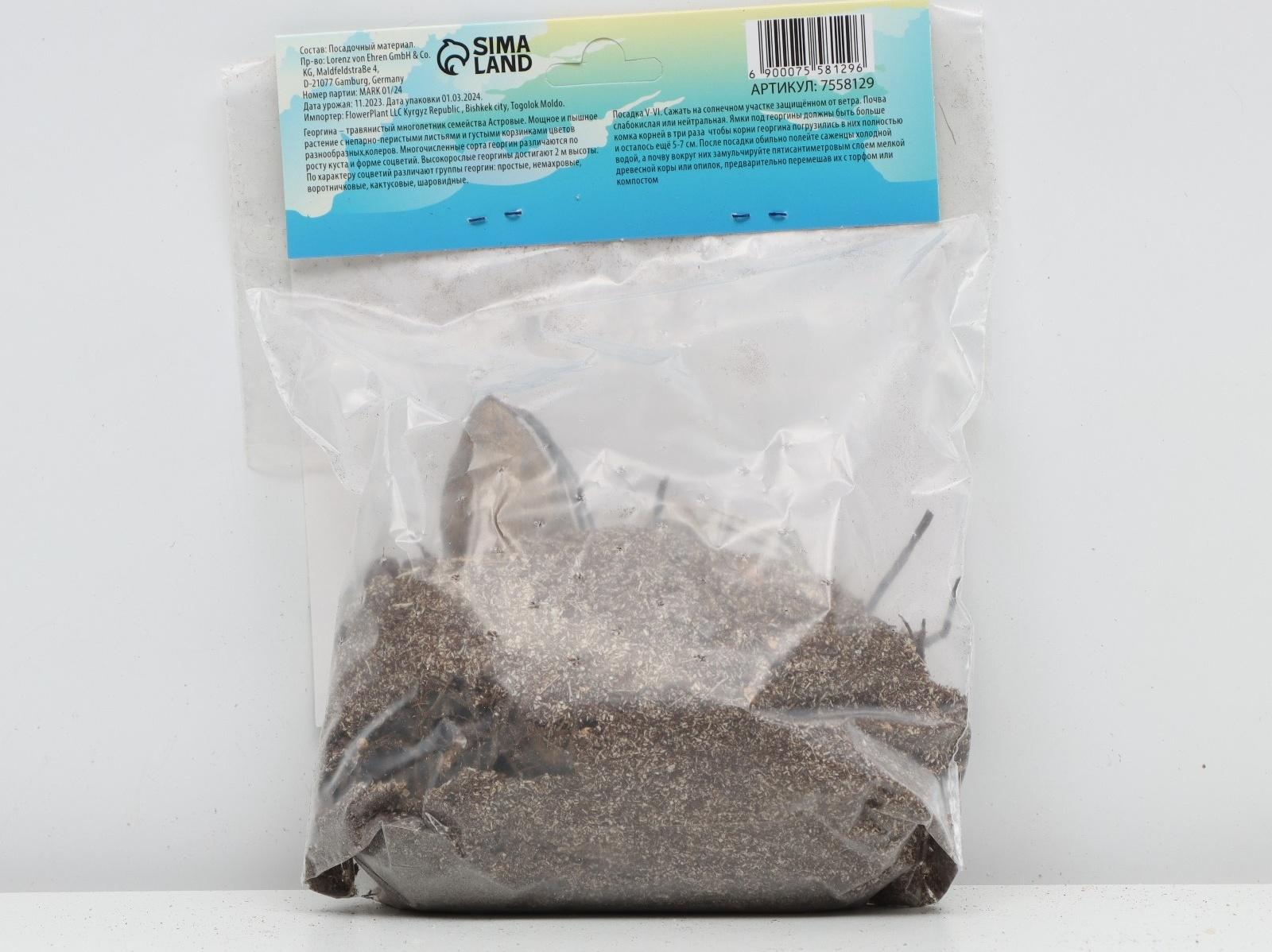 Георгина декоративная 