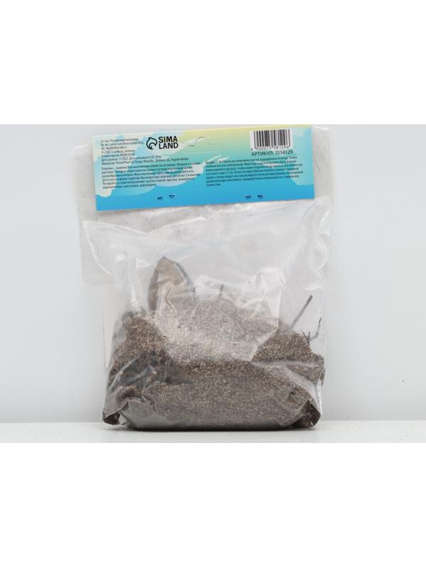 Георгина декоративная 