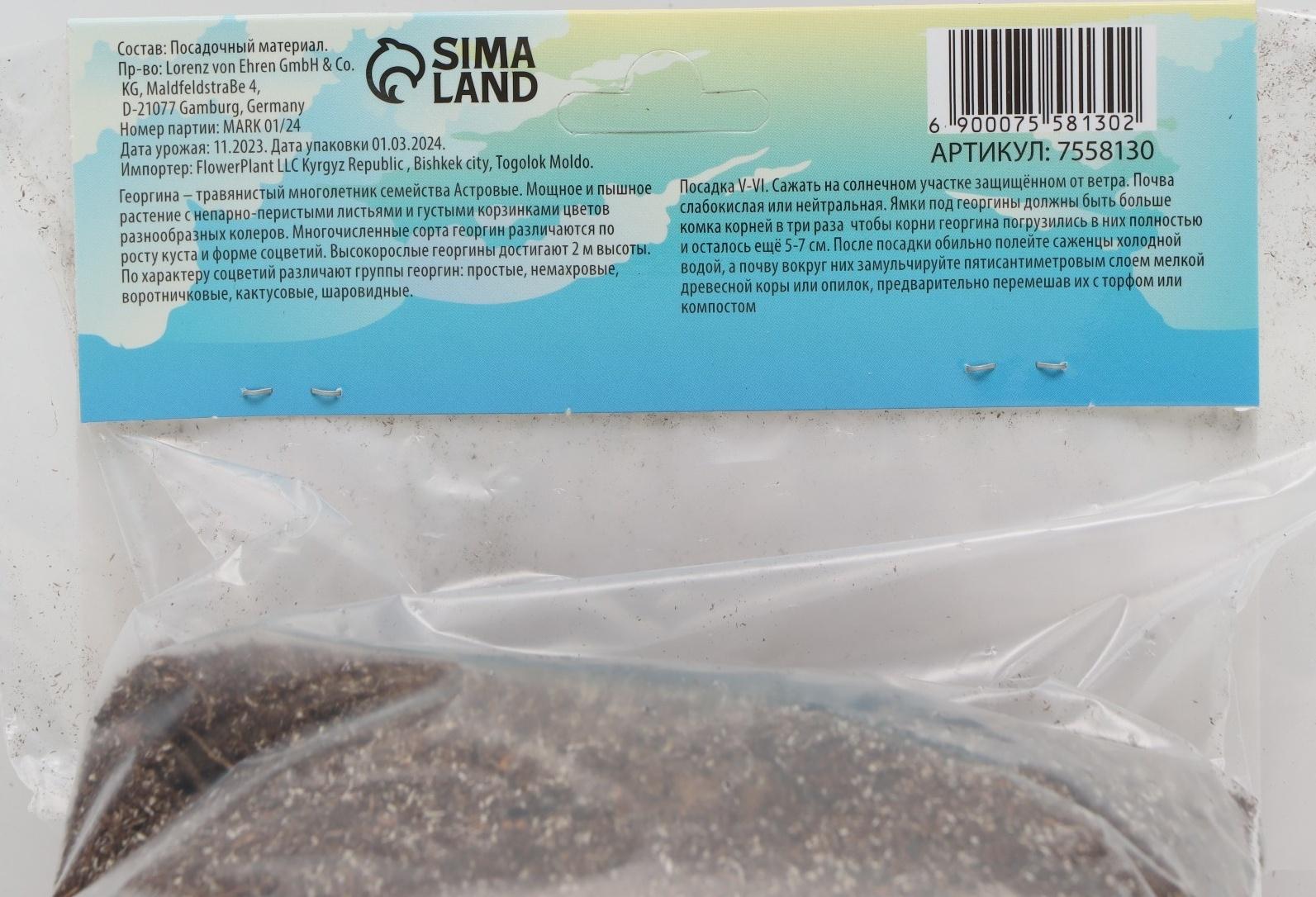 Георгина кактусовая Фринджд Стар, р-р I, 1 шт, Весна 2024