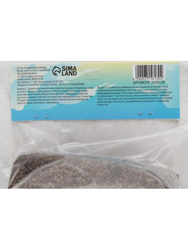 Георгина кактусовая Фринджд Стар, р-р I, 1 шт, Весна 2024