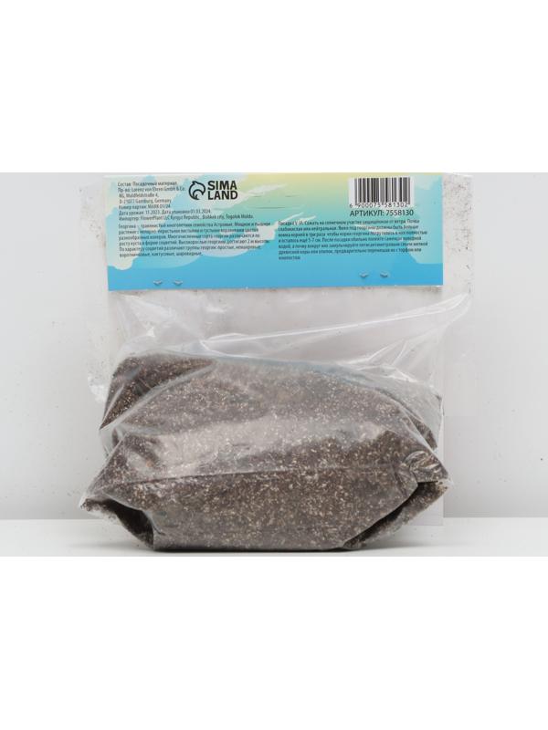 Георгина кактусовая Фринджд Стар, р-р I, 1 шт, Весна 2024