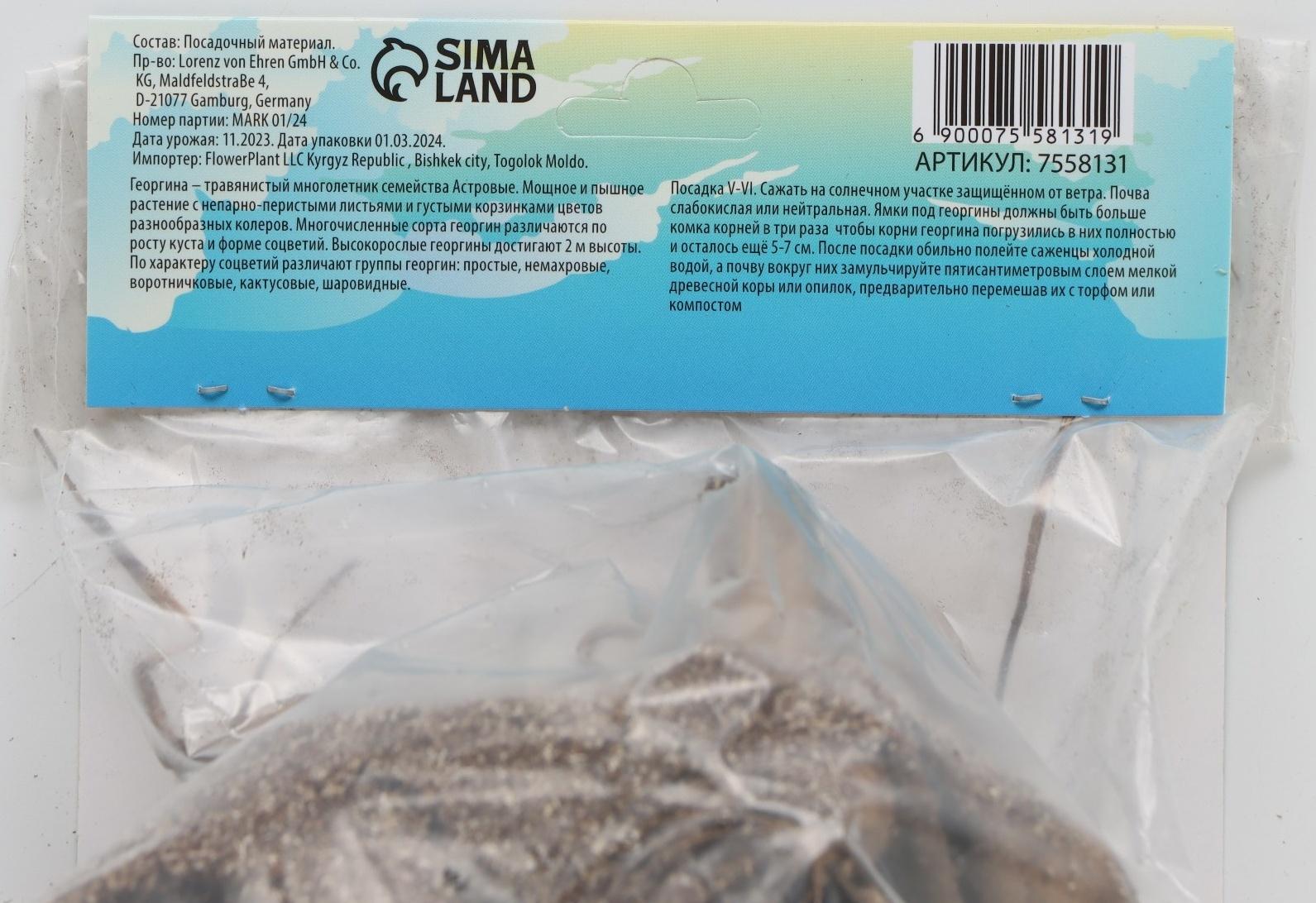 Георгина декоративная 