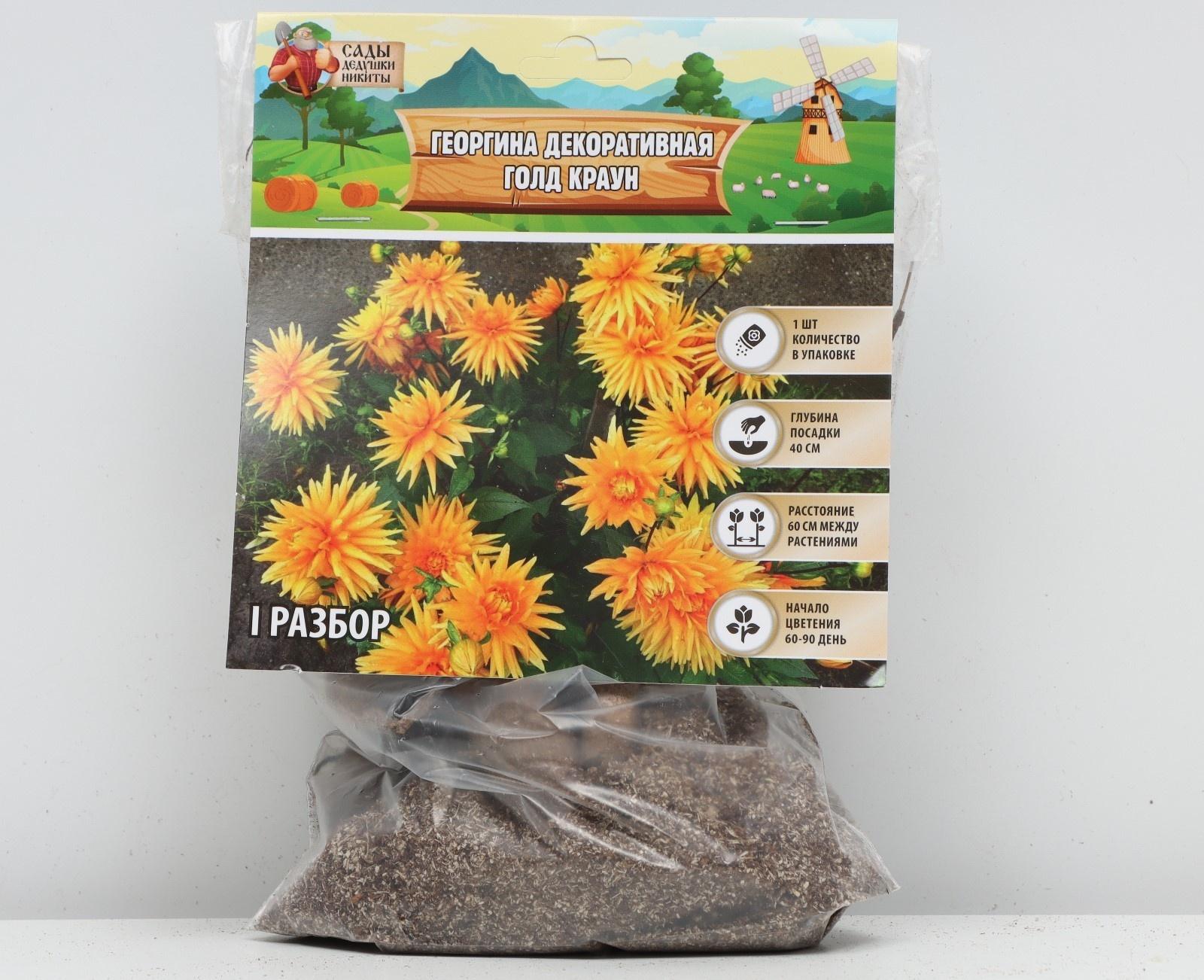 Георгина декоративная 