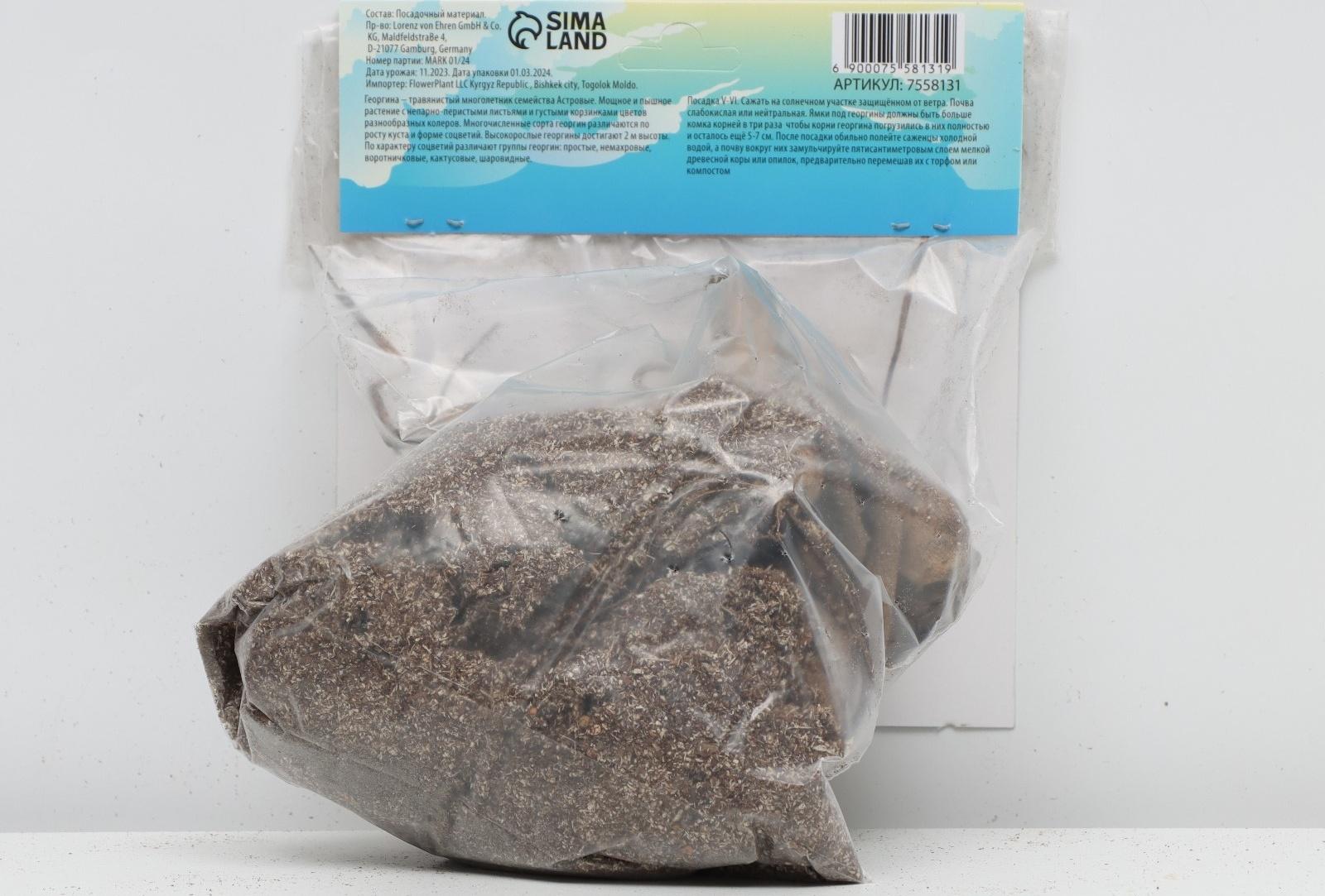 Георгина декоративная 