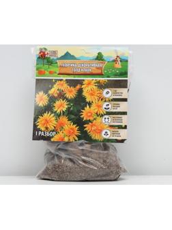 Георгина декоративная 