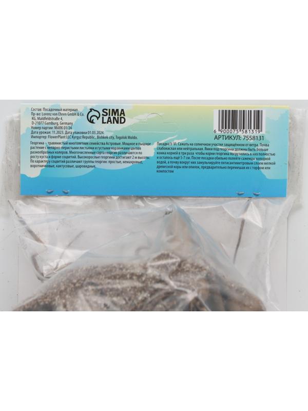 Георгина декоративная 