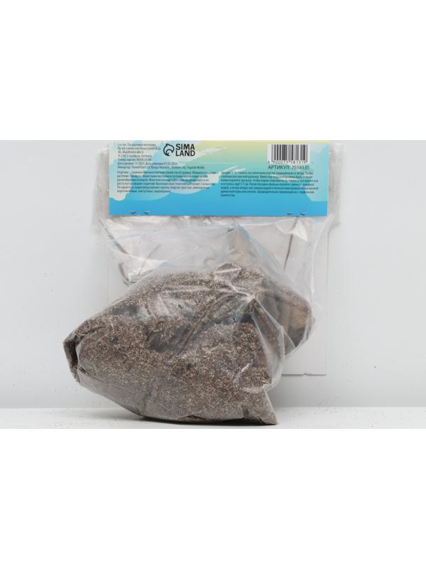 Георгина декоративная 