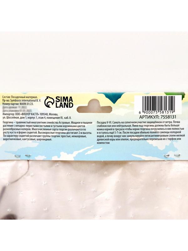 Георгина декоративная 